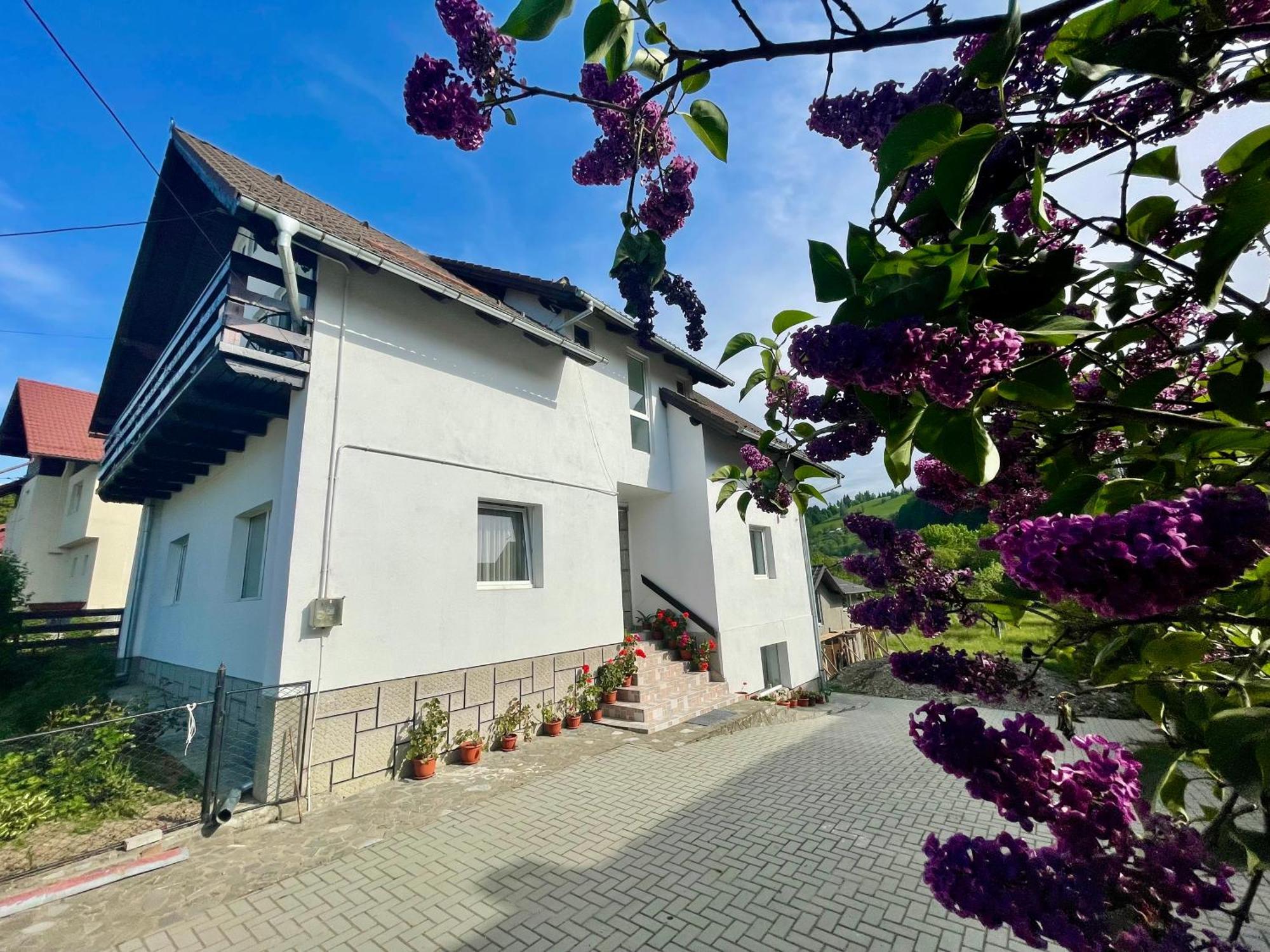 Casuta cu Dumbrava Apartment Bran  Exterior foto