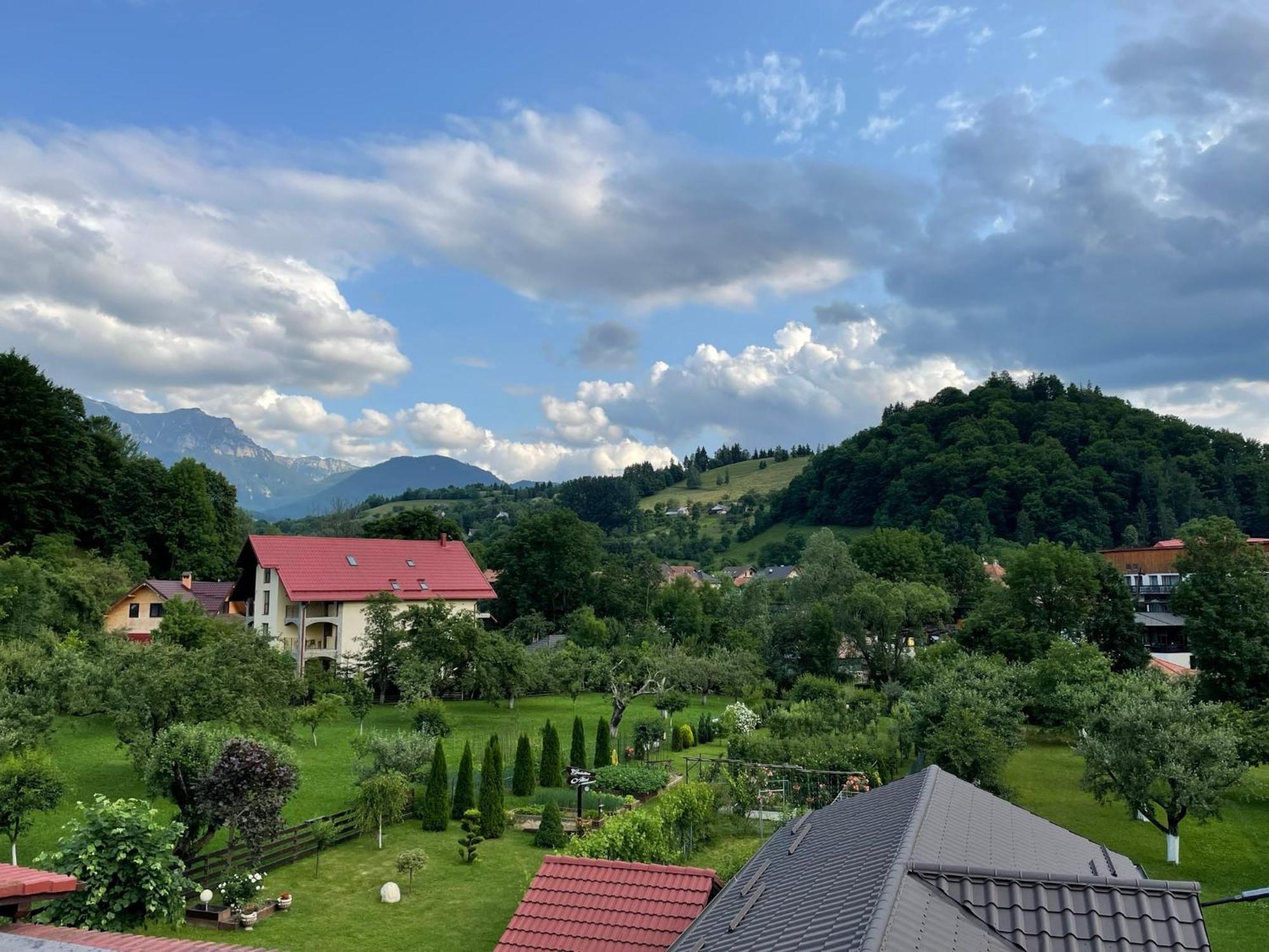 Casuta cu Dumbrava Apartment Bran  Exterior foto