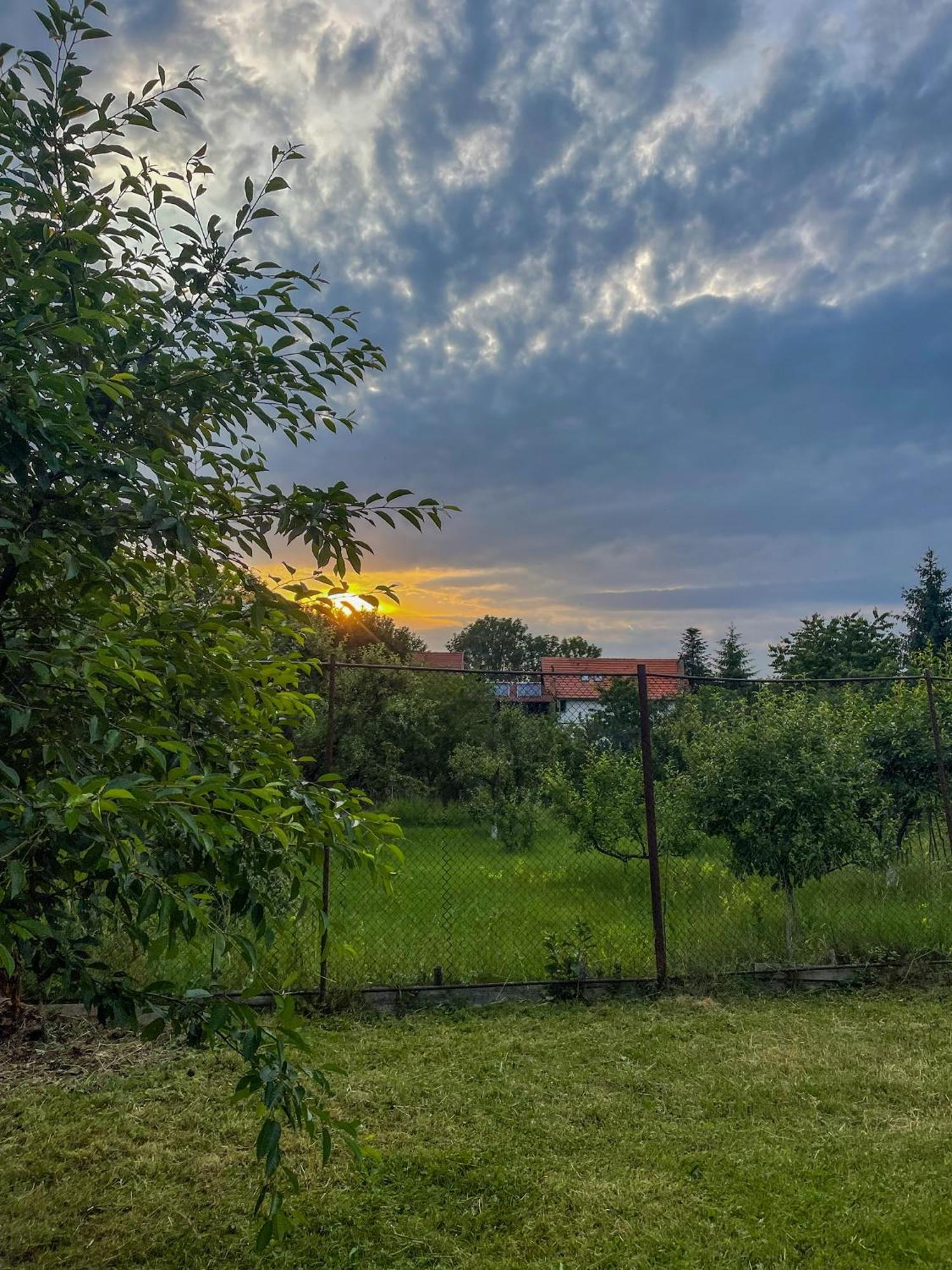 Casuta cu Dumbrava Apartment Bran  Exterior foto