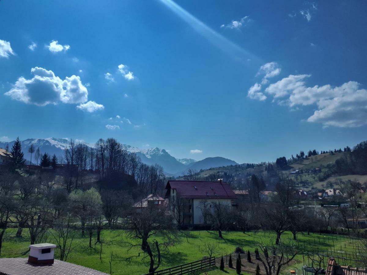 Casuta cu Dumbrava Apartment Bran  Exterior foto